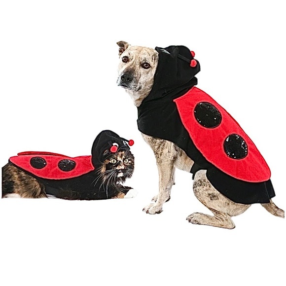 Other - PET LADYBUG COSTUME NWT